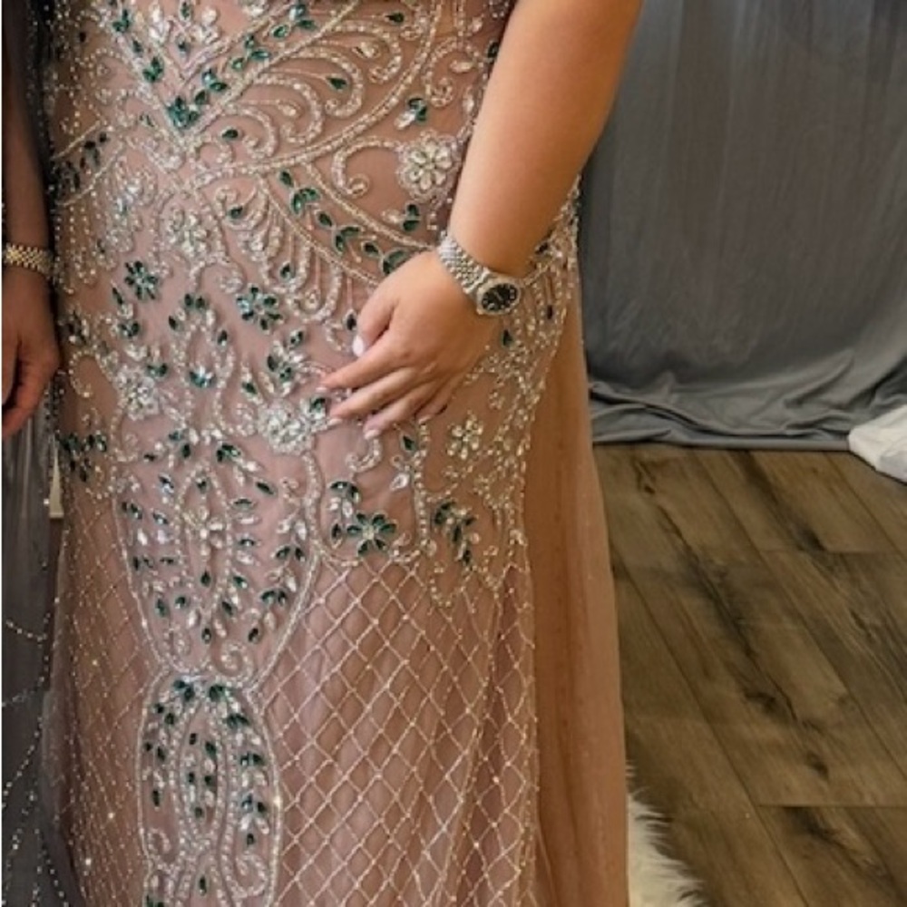 Elegant Embellished Evening Gown